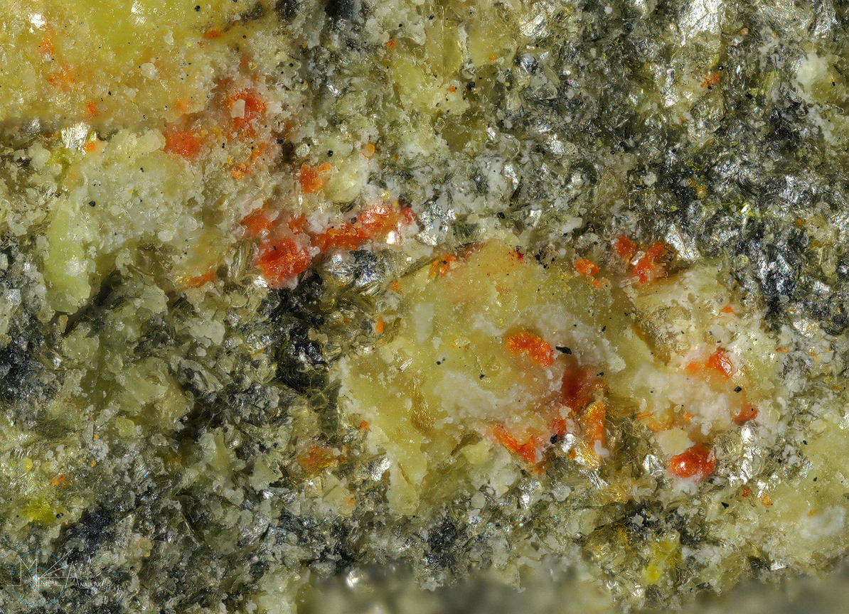 Umohoite