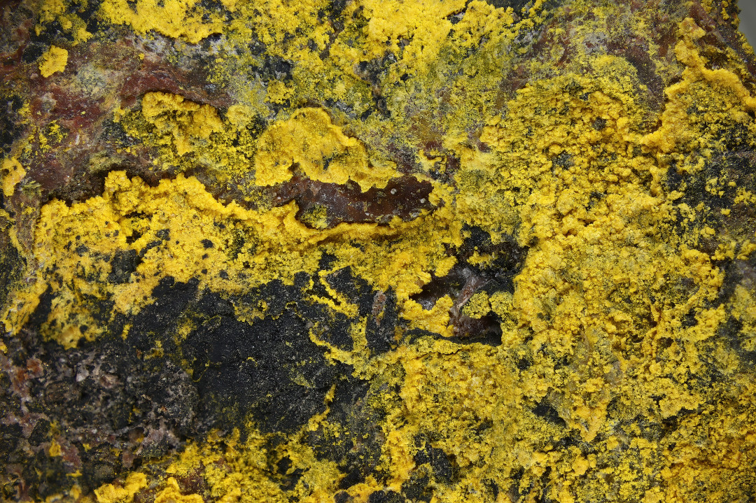 Uranopilite