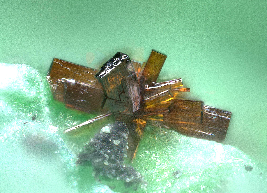 Cupromolybdite