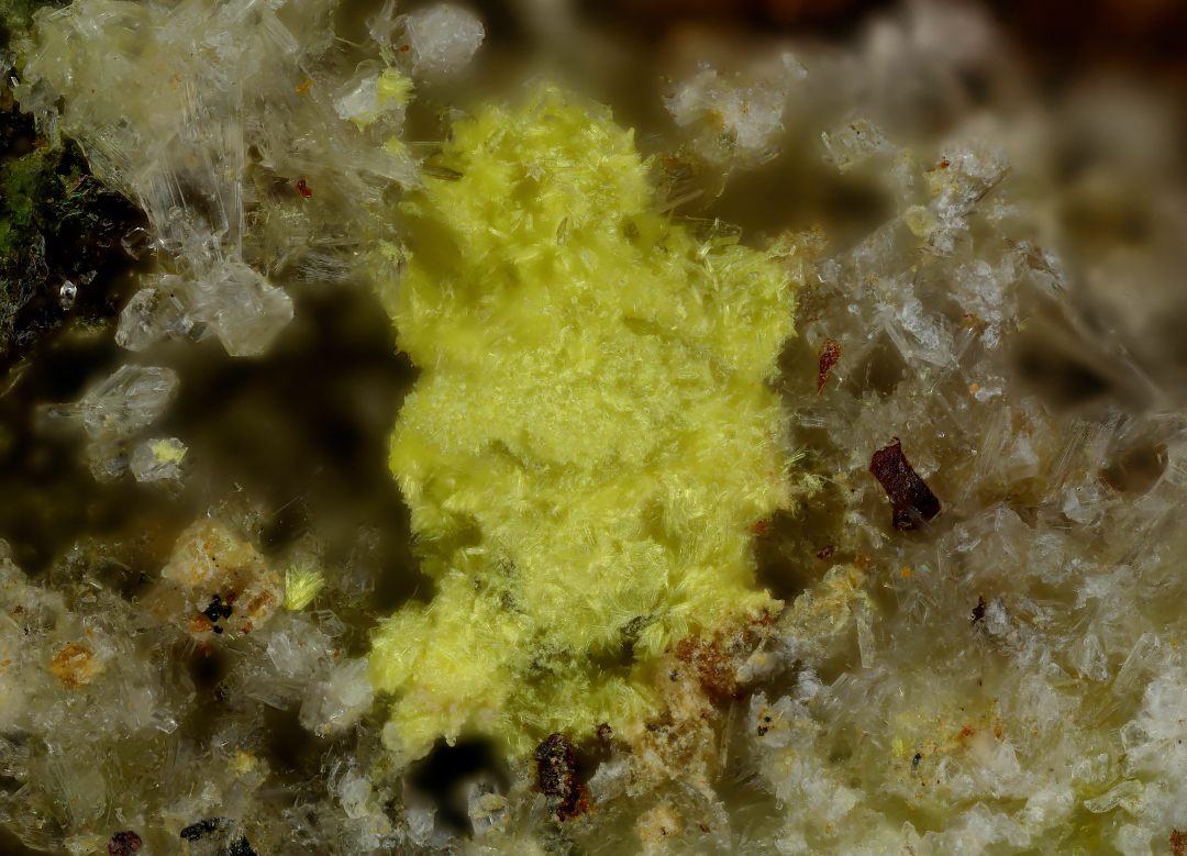 Uranopilite