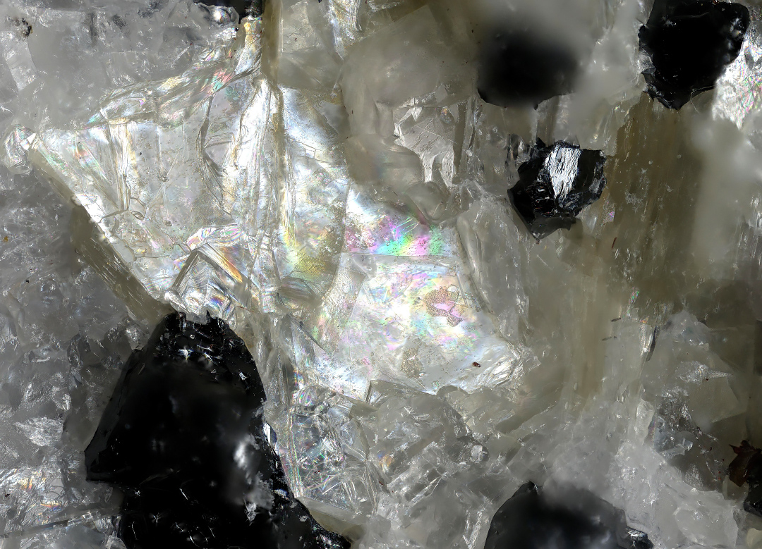 Molybdophyllite