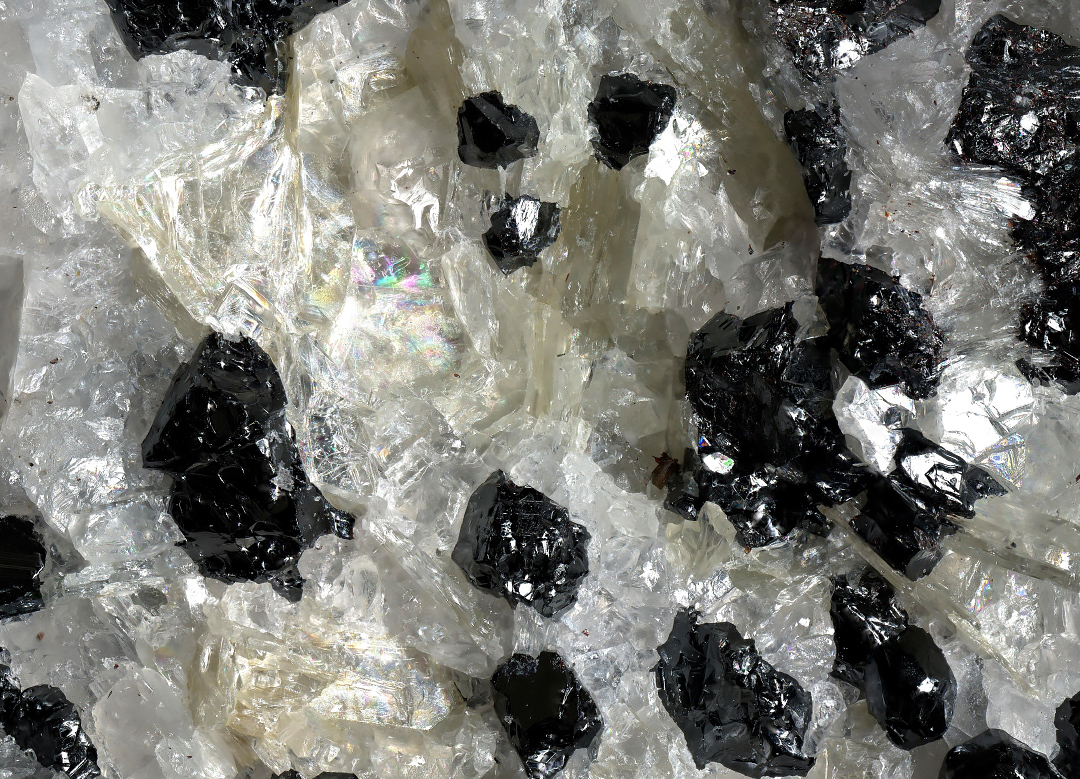 Molybdophyllite