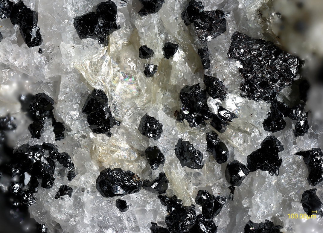 Molybdophyllite