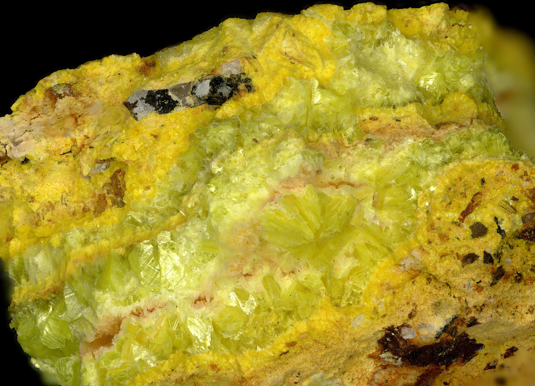 Phosphuranylite & Autunite