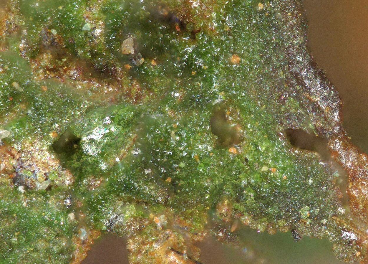 Ahlfeldite & Favreauite