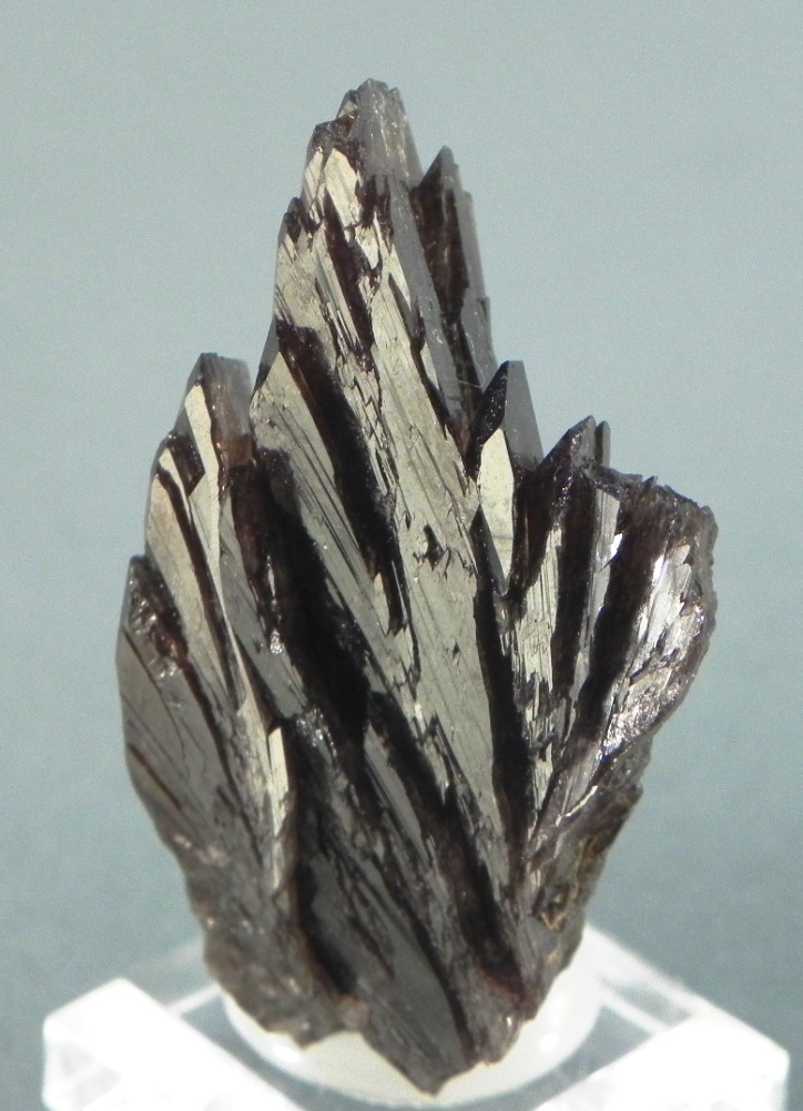 Axinite-(Mn)