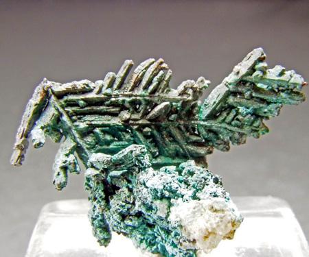 Native Copper With Paratacamite & Nantokite
