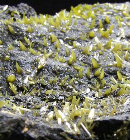 Pyromorphite On Coronadite