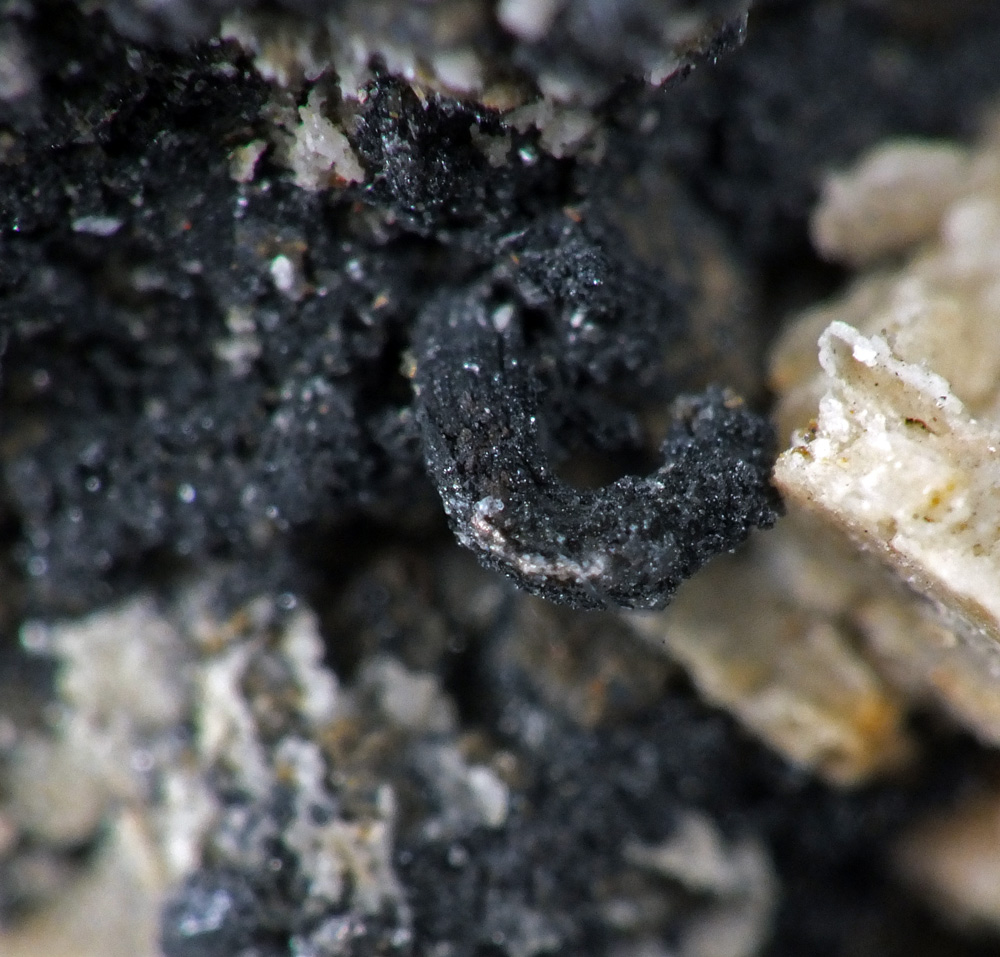 Acanthite & Native Silver In Siderite