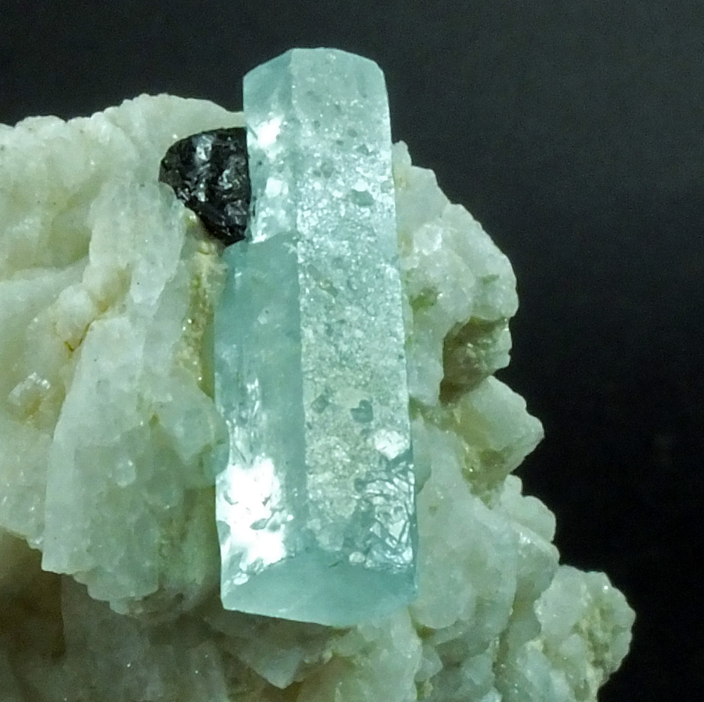 Aquamarine & Schorl On Albite