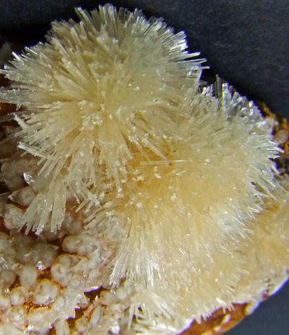 Aragonite & Calcite