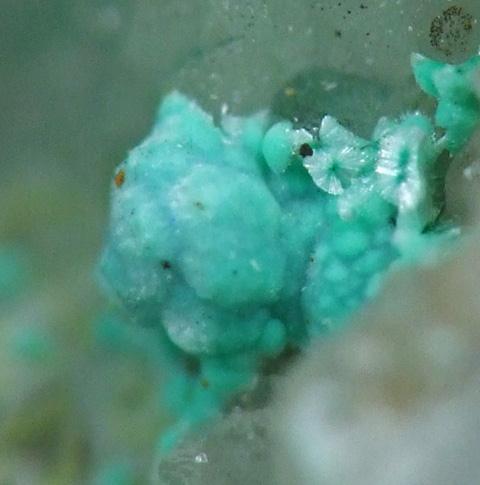 Azurite Aurichalcite & Rosasite On Smithsonite