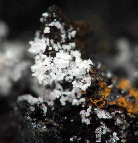 Montgomeryite & Wavellite