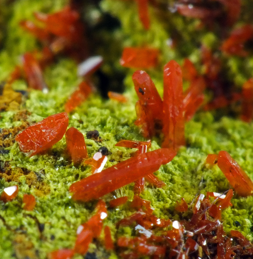 Crocoite Hinsdalite & Pyromorphite