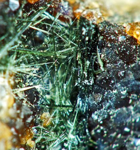 Hastingsite & Bismuthinite On Andradite