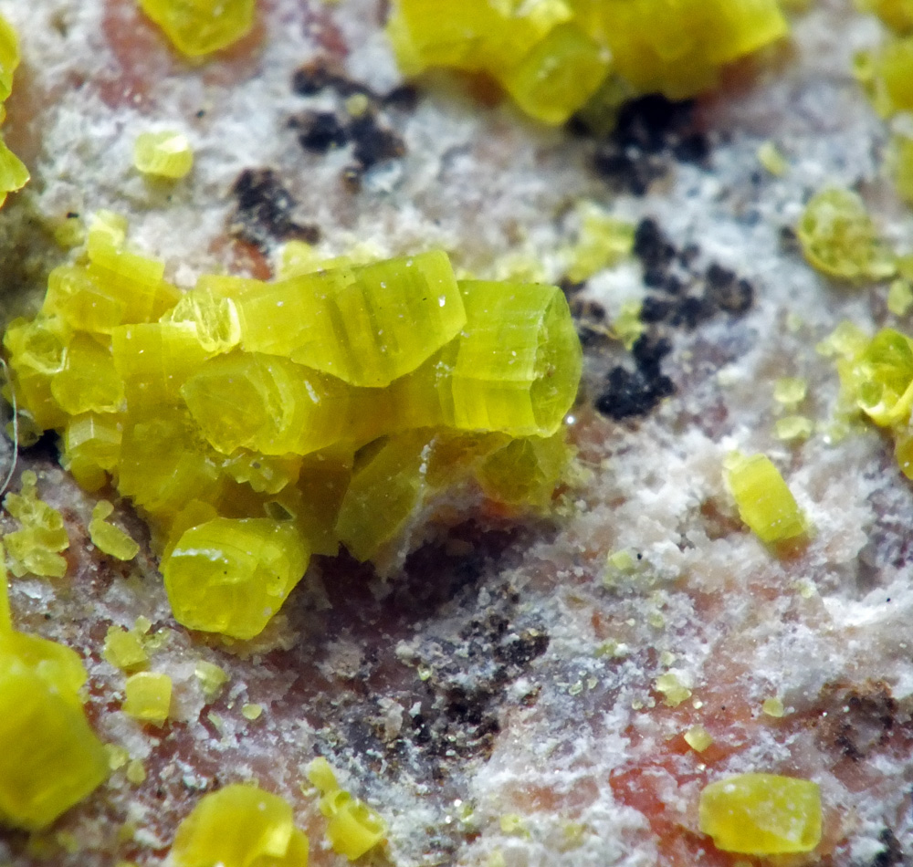 Metanatroautunite