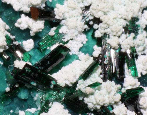 Atacamite With Halloysite & Libethenite