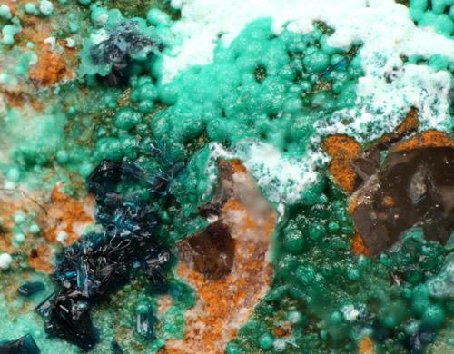 Clinoclase & Cornwallite