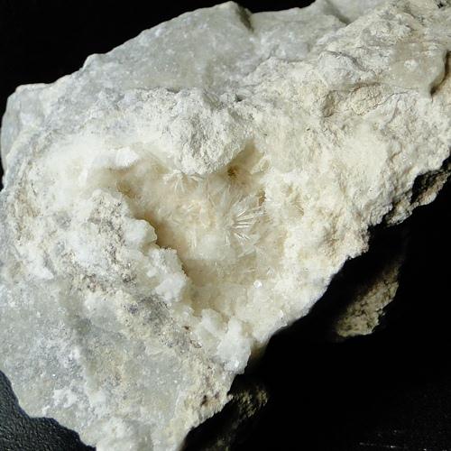 Nekoite