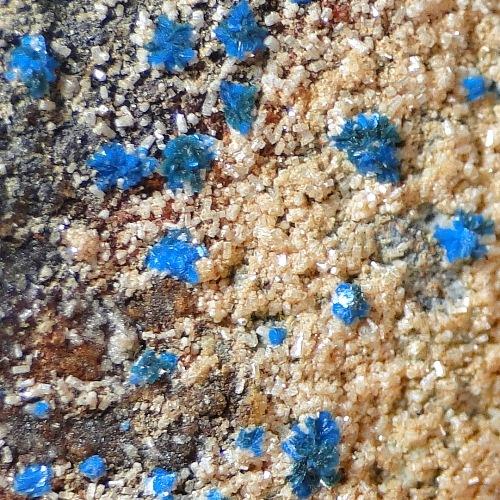 Sampleite & Apatite