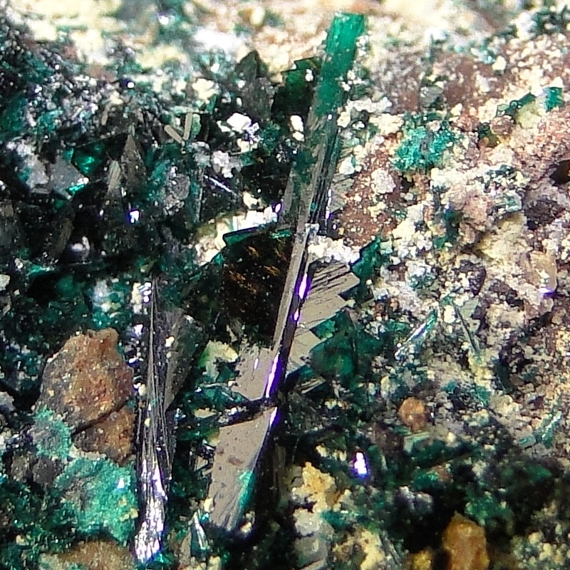 Anatacamite & Paratacamite