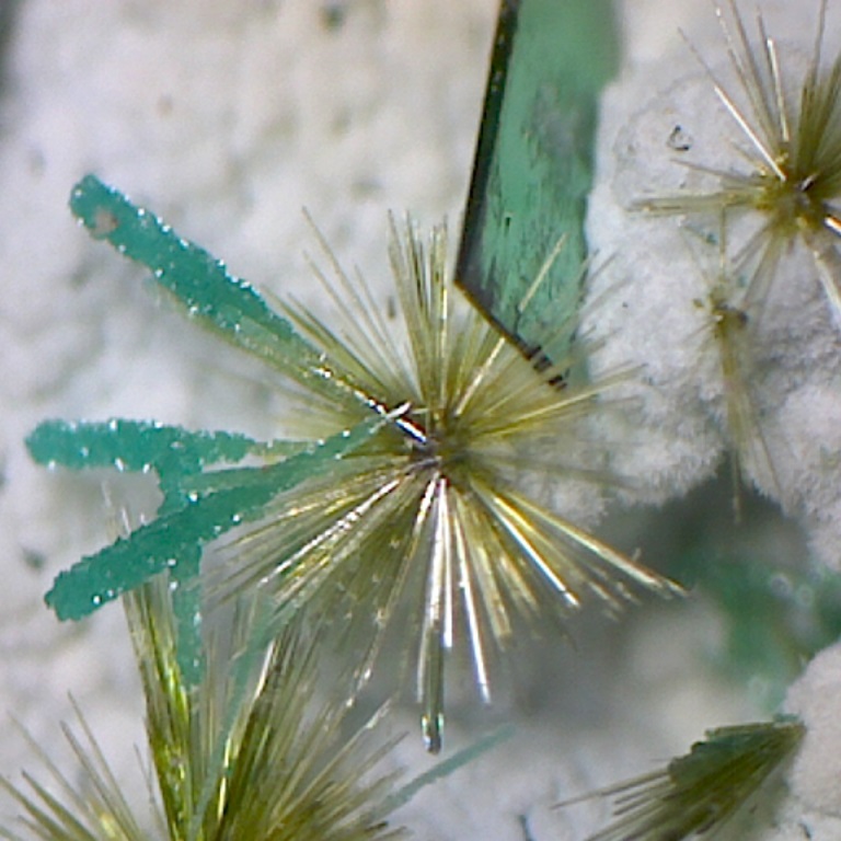 Atacamite Libethenite & Pseudomalachite