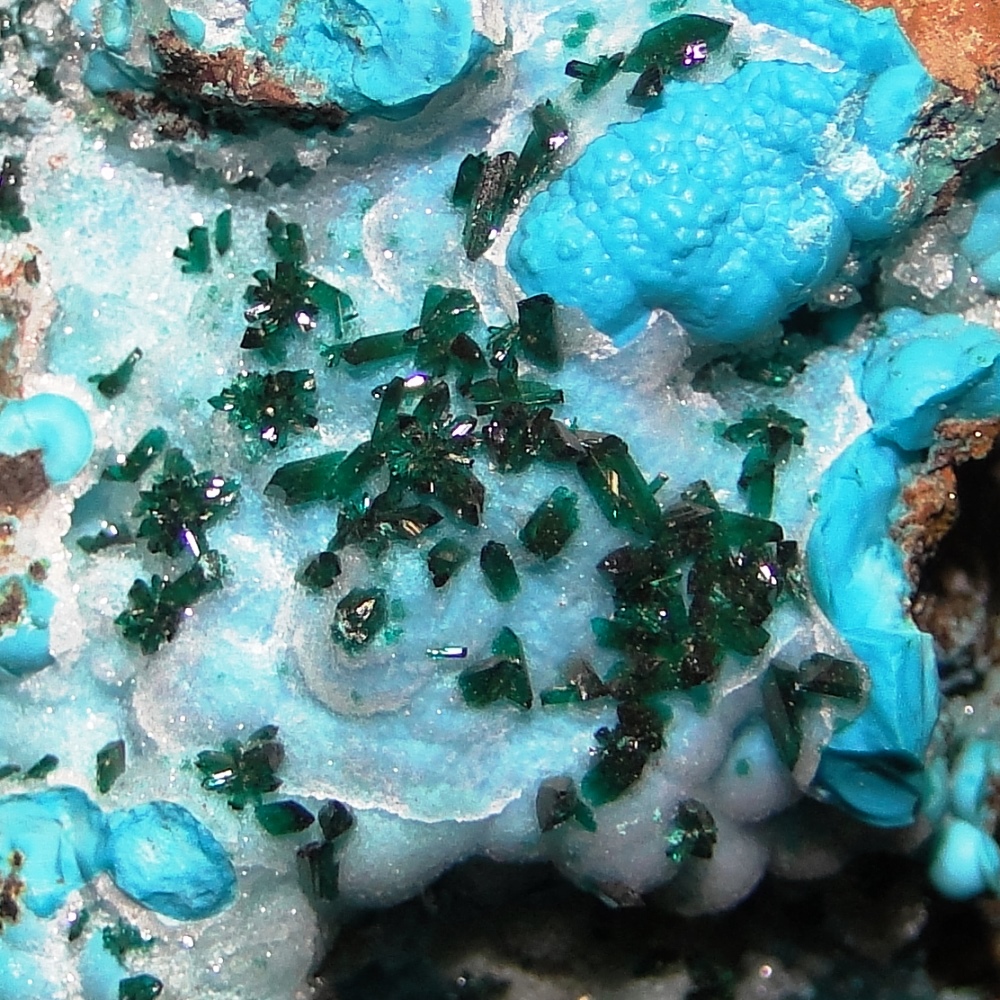 Brochantite & Chrysocolla