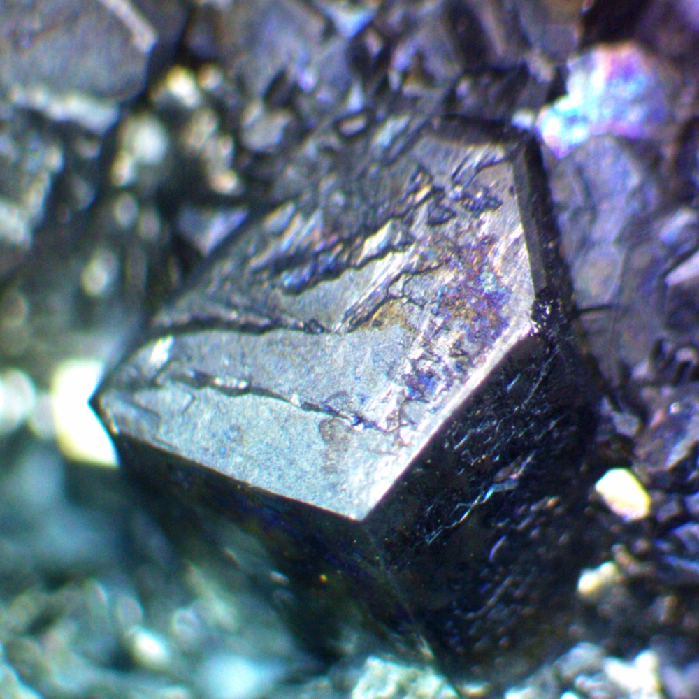 Bornite