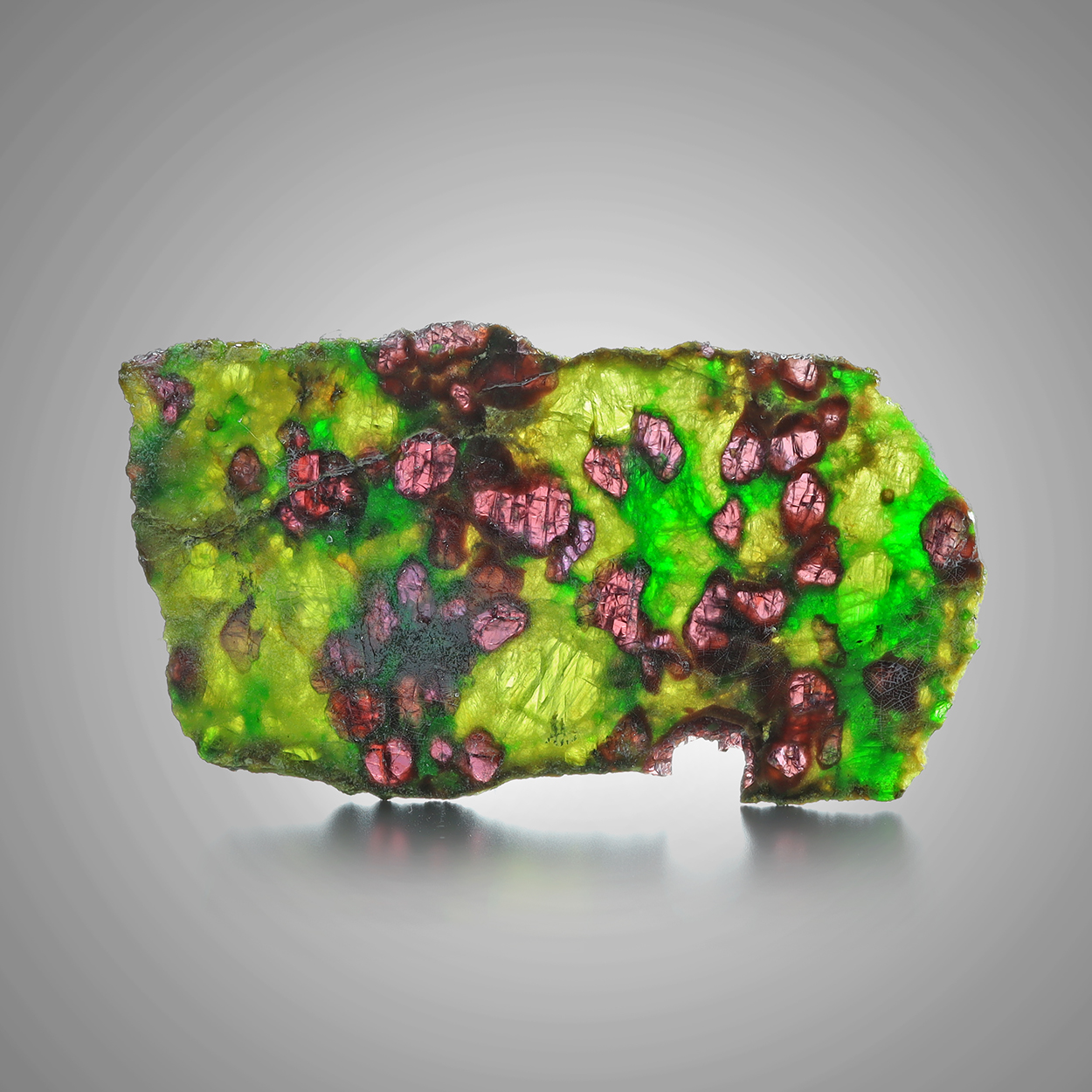 Pyrope With Chromian Diopside & Enstatite