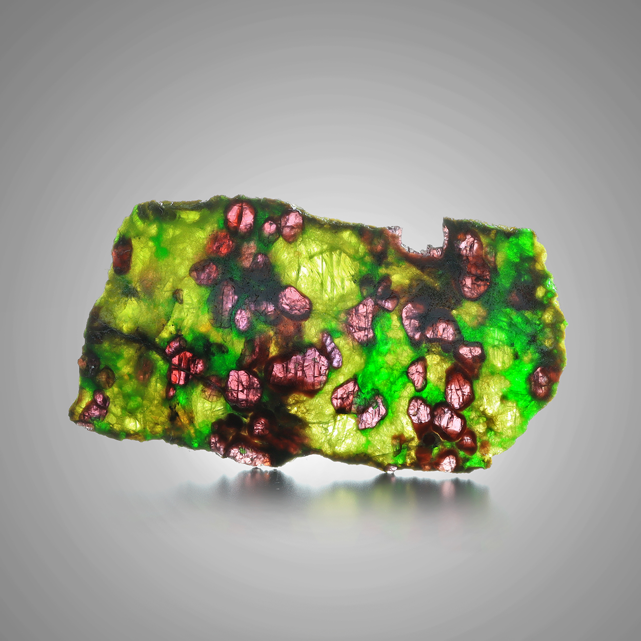 Pyrope With Chromian Diopside & Enstatite