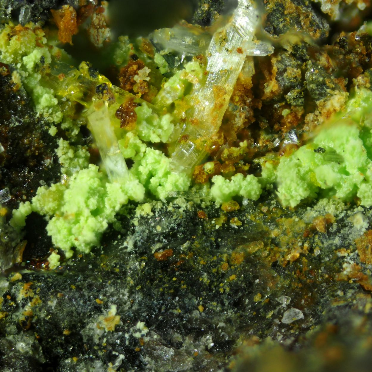 Kahlerite