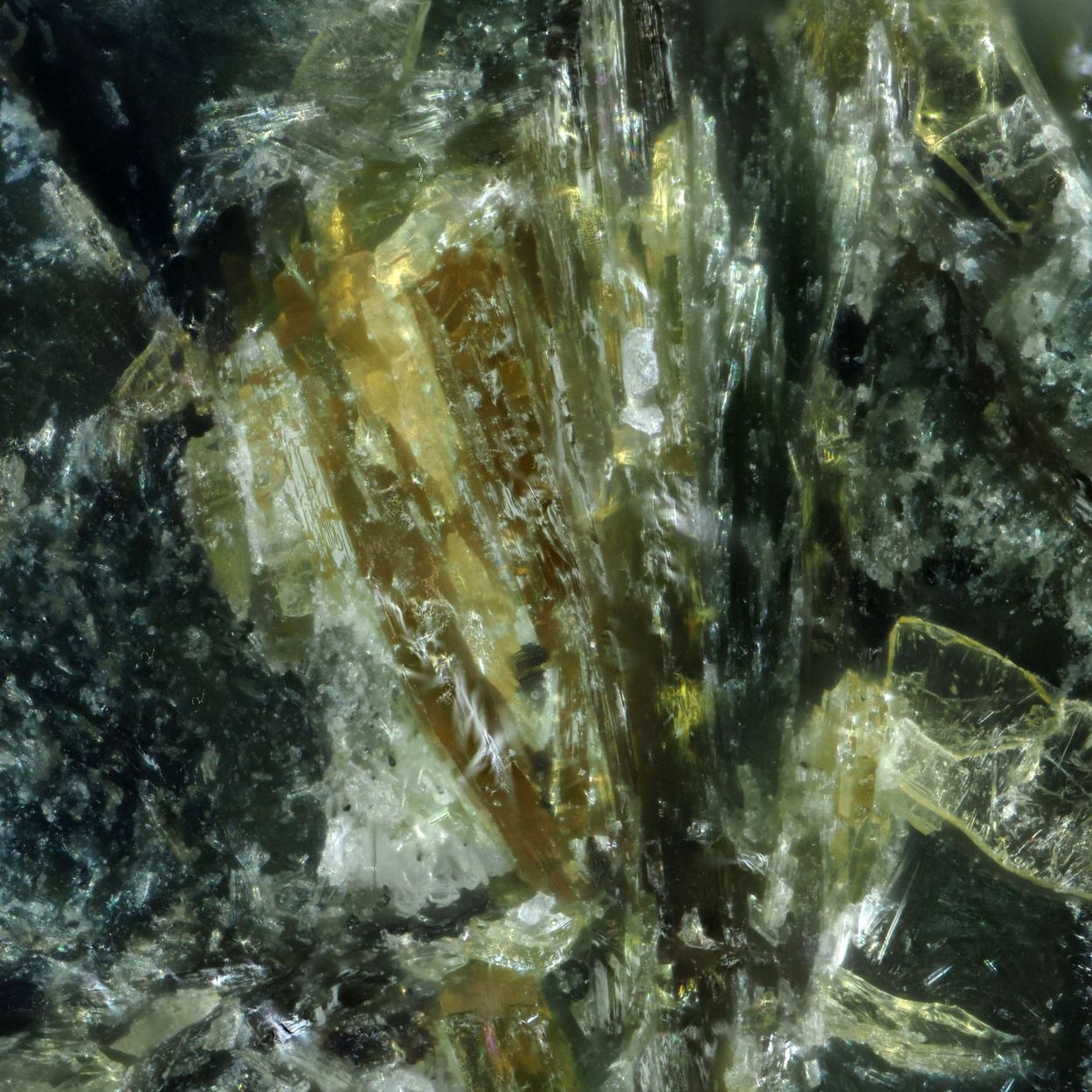Nabalamprophyllite