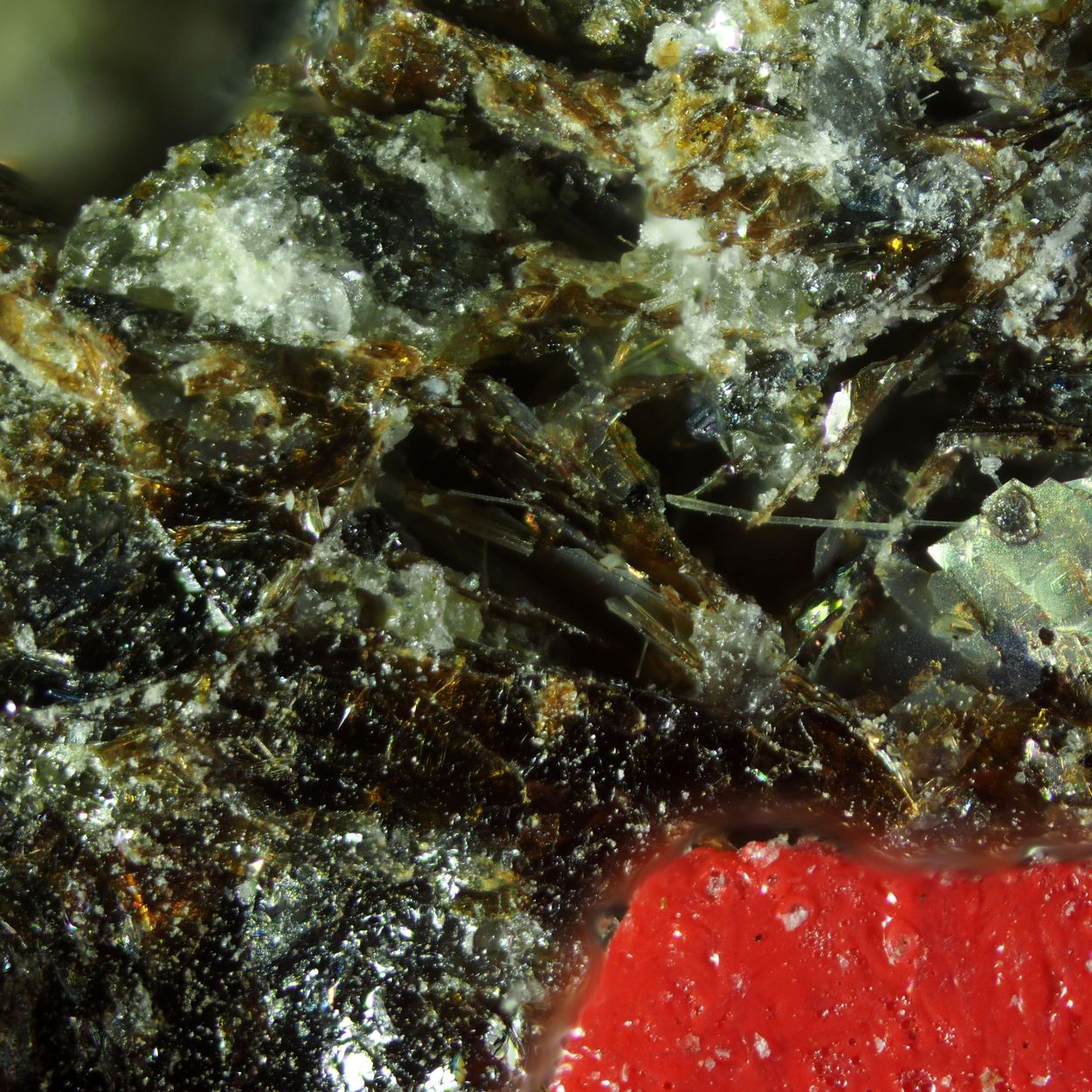 Umbrianite