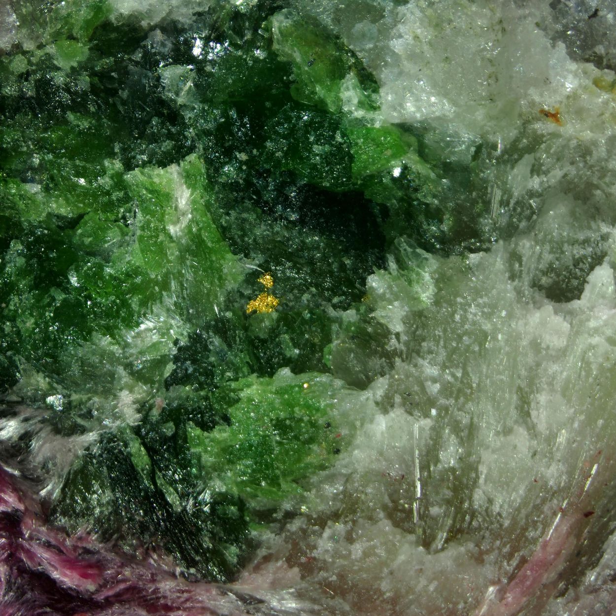 Gold In Uvarovite