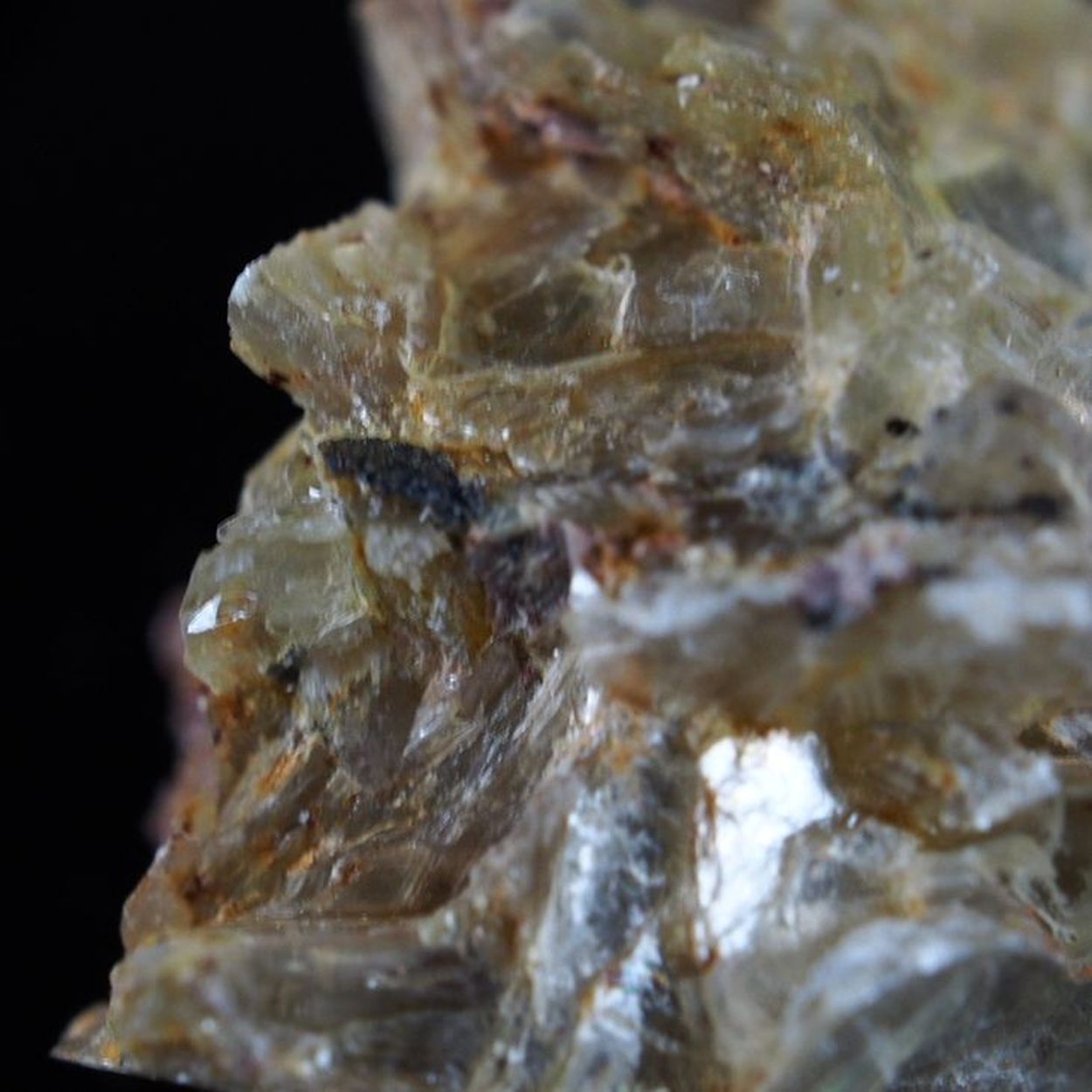 Ferrotitanowodginite