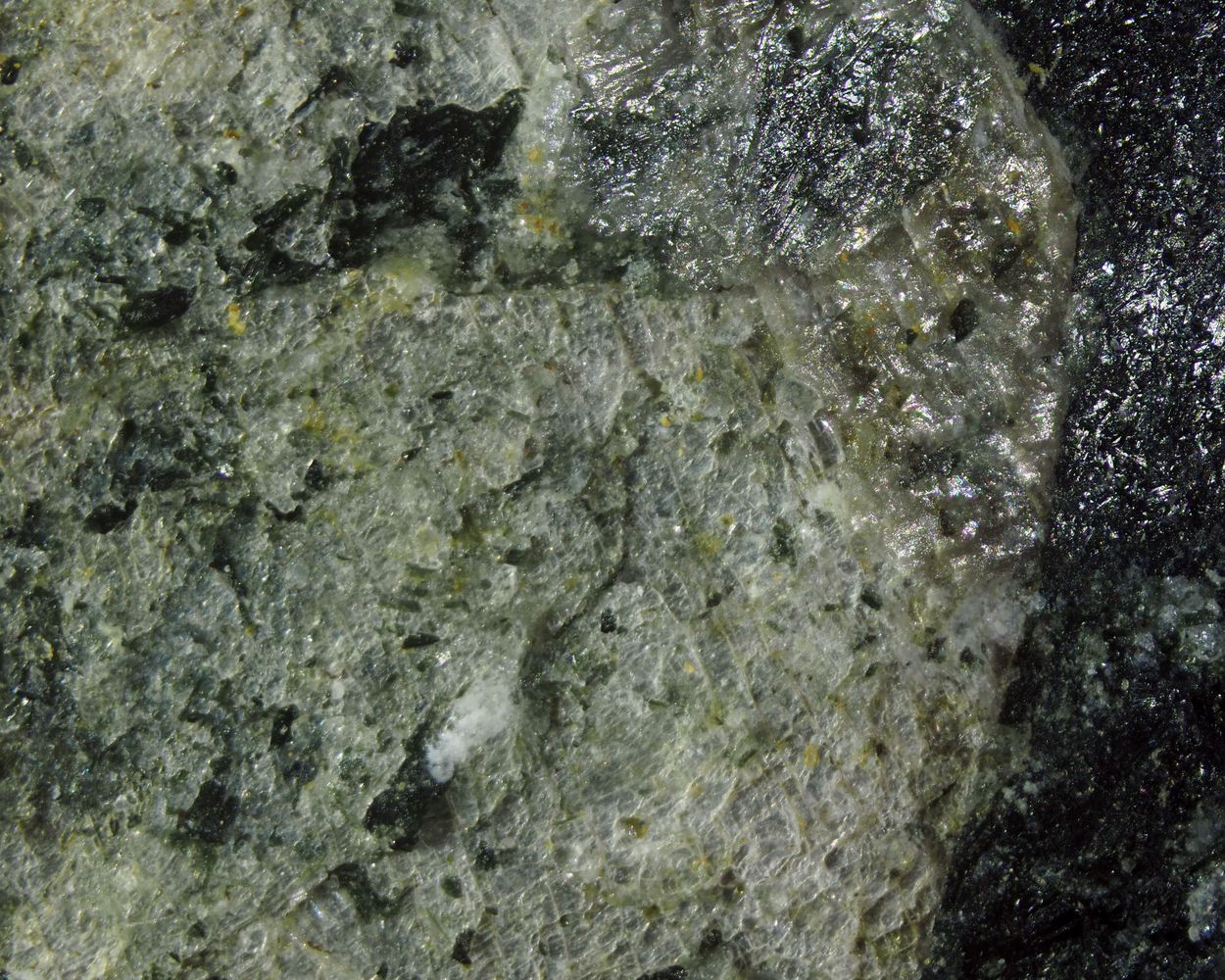 Calciomurmanite