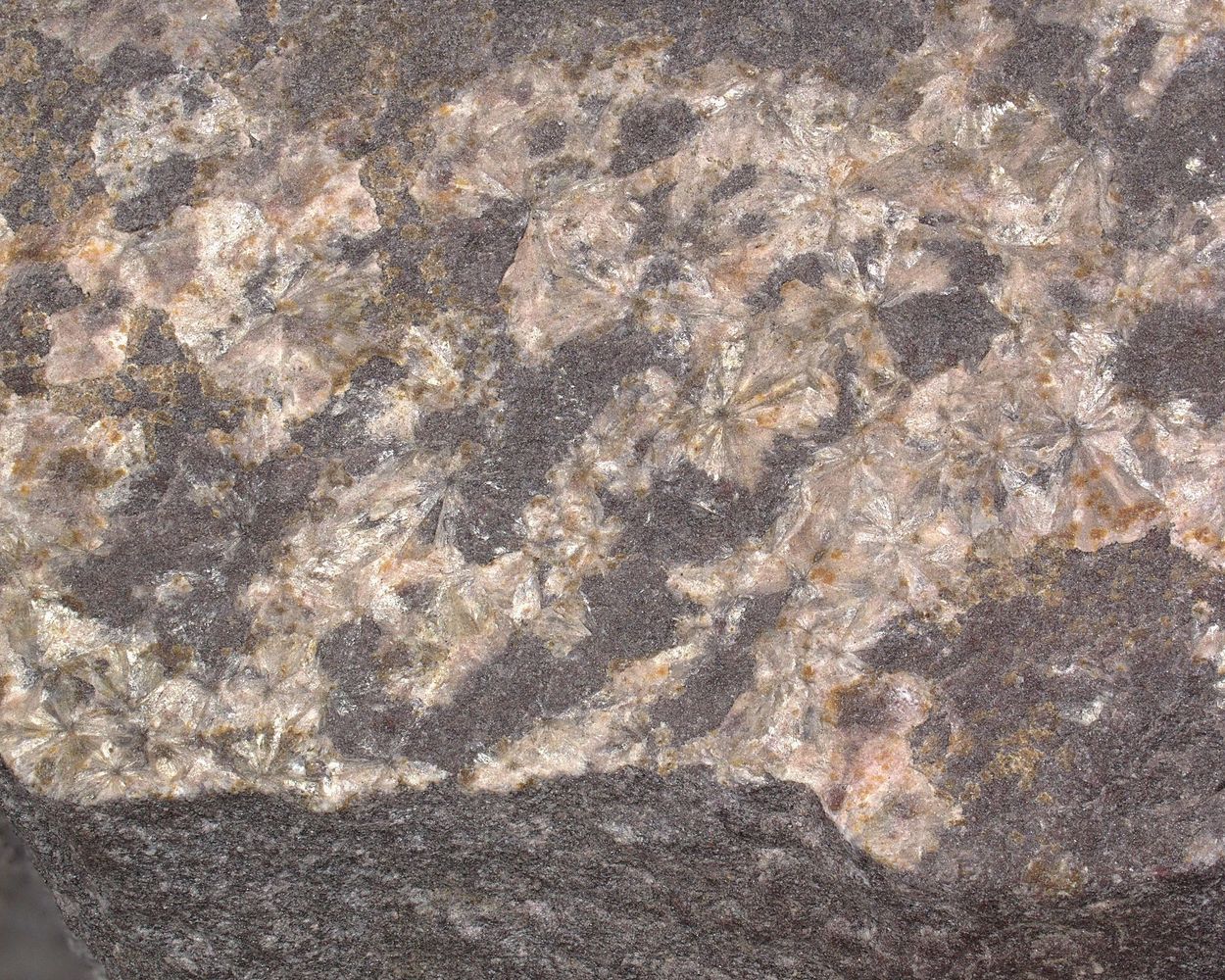 Vantasselite