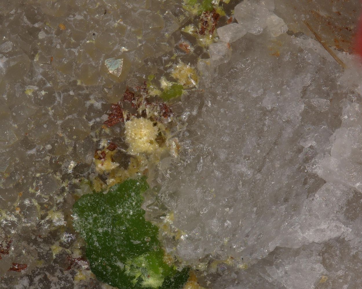 Schmitterite