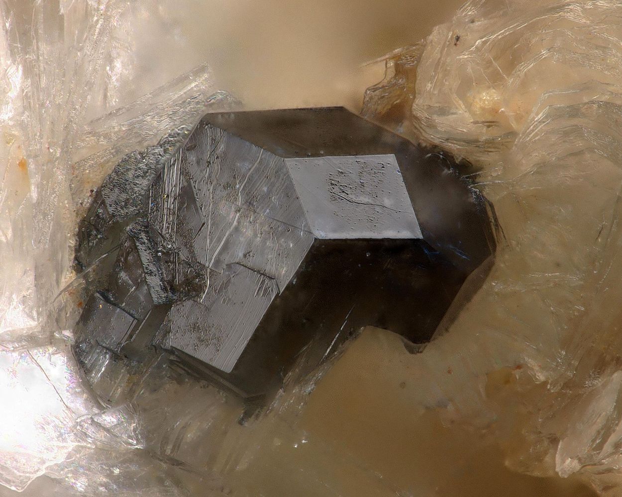 Magnesio-lucchesiite