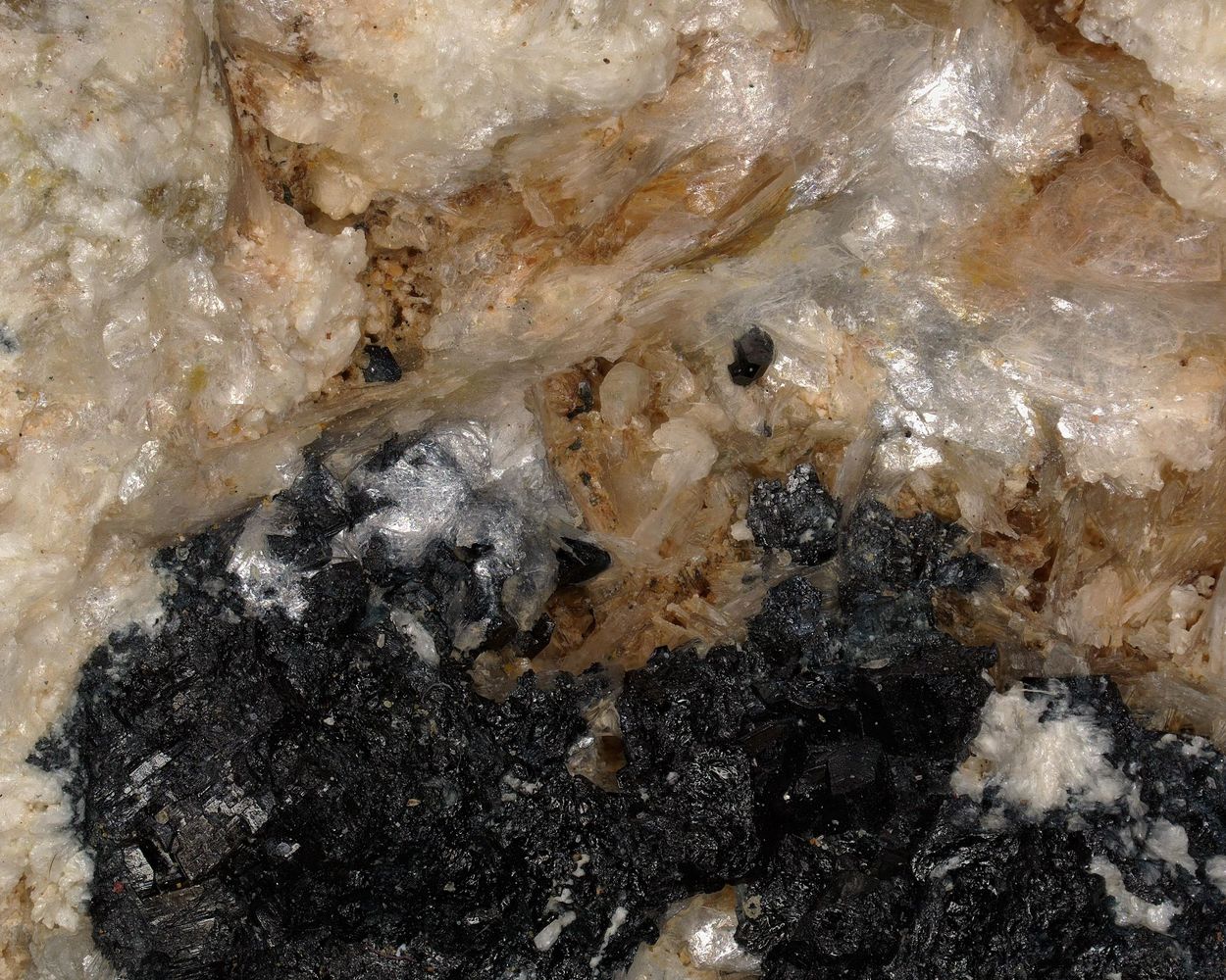 Magnesio-lucchesiite