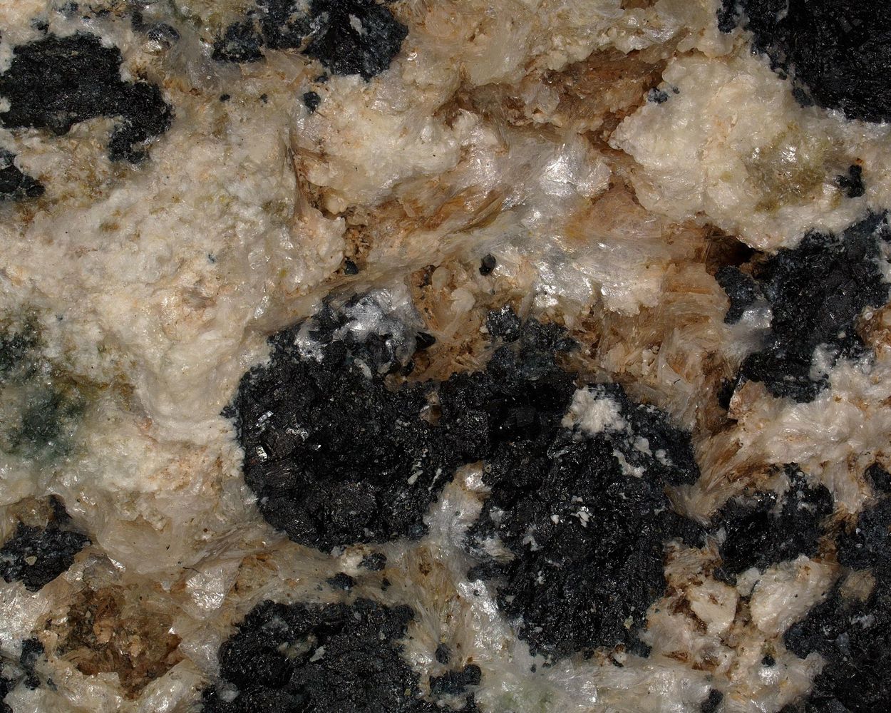 Magnesio-lucchesiite