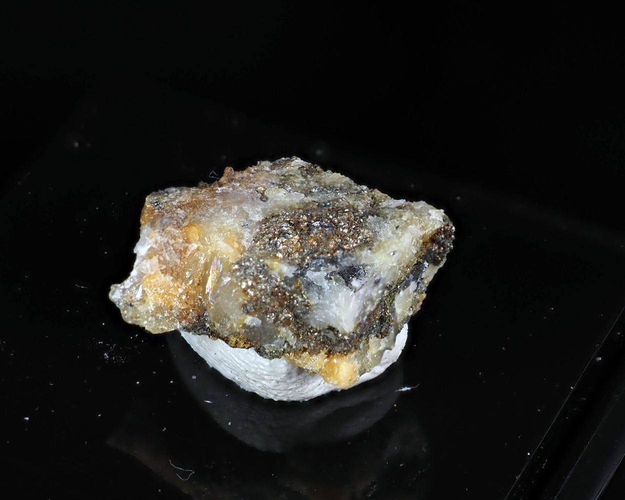 Vikingite