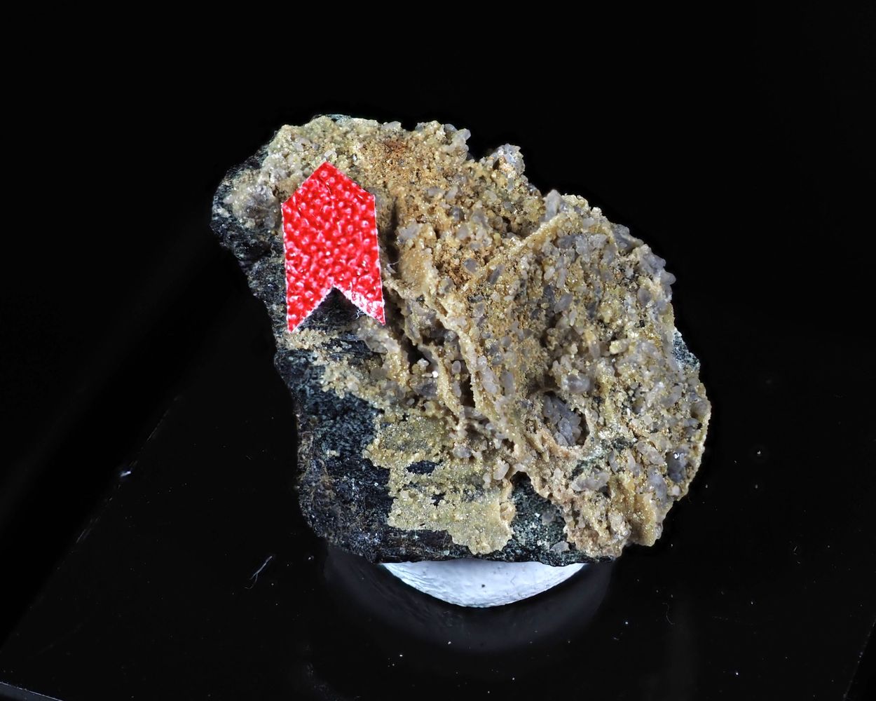 Aspedamite