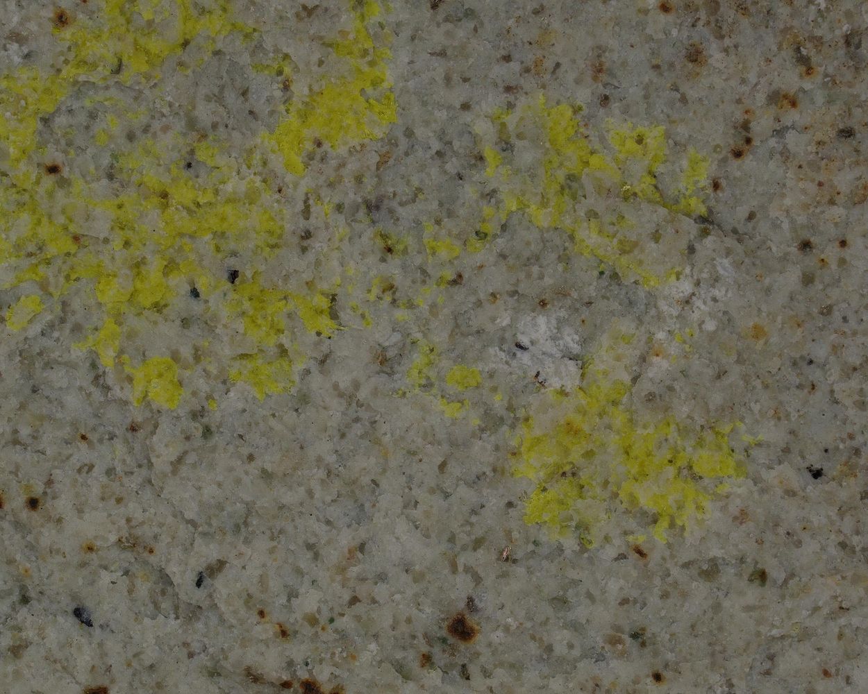 Haynesite