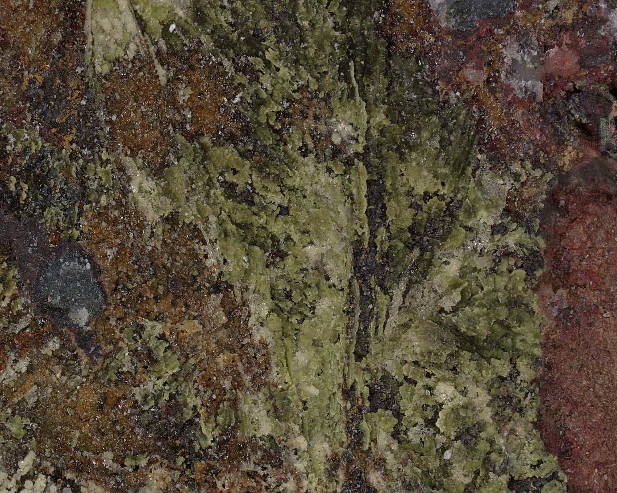 Fluorowardite
