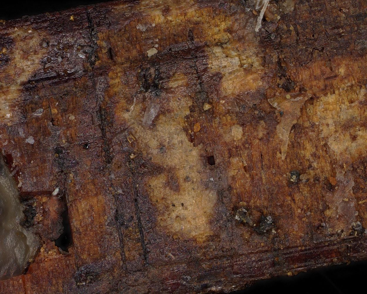 Lefontite