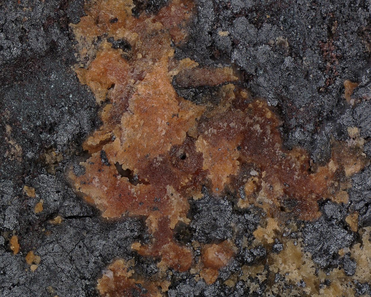 Canosioite