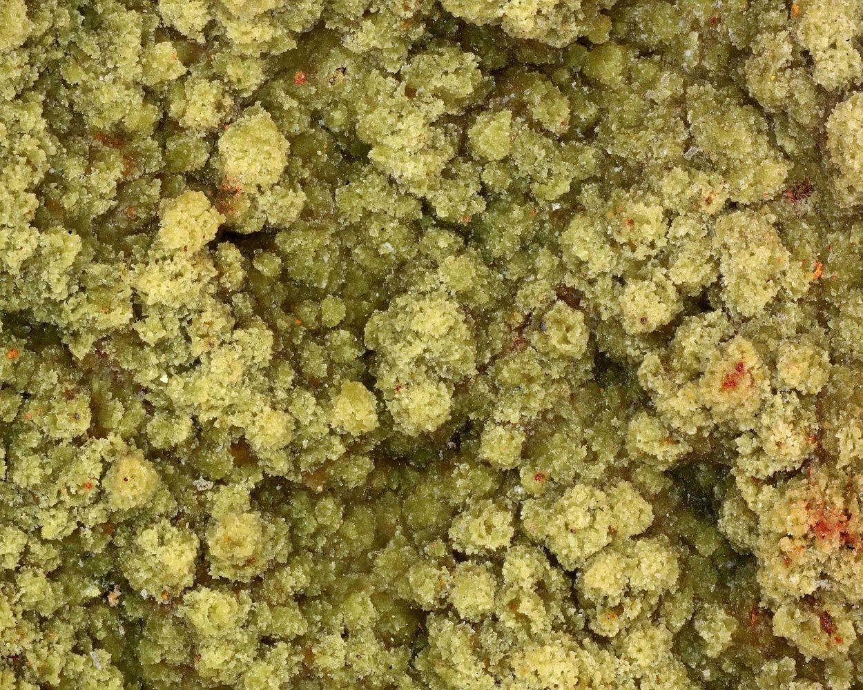 Fluorowardite