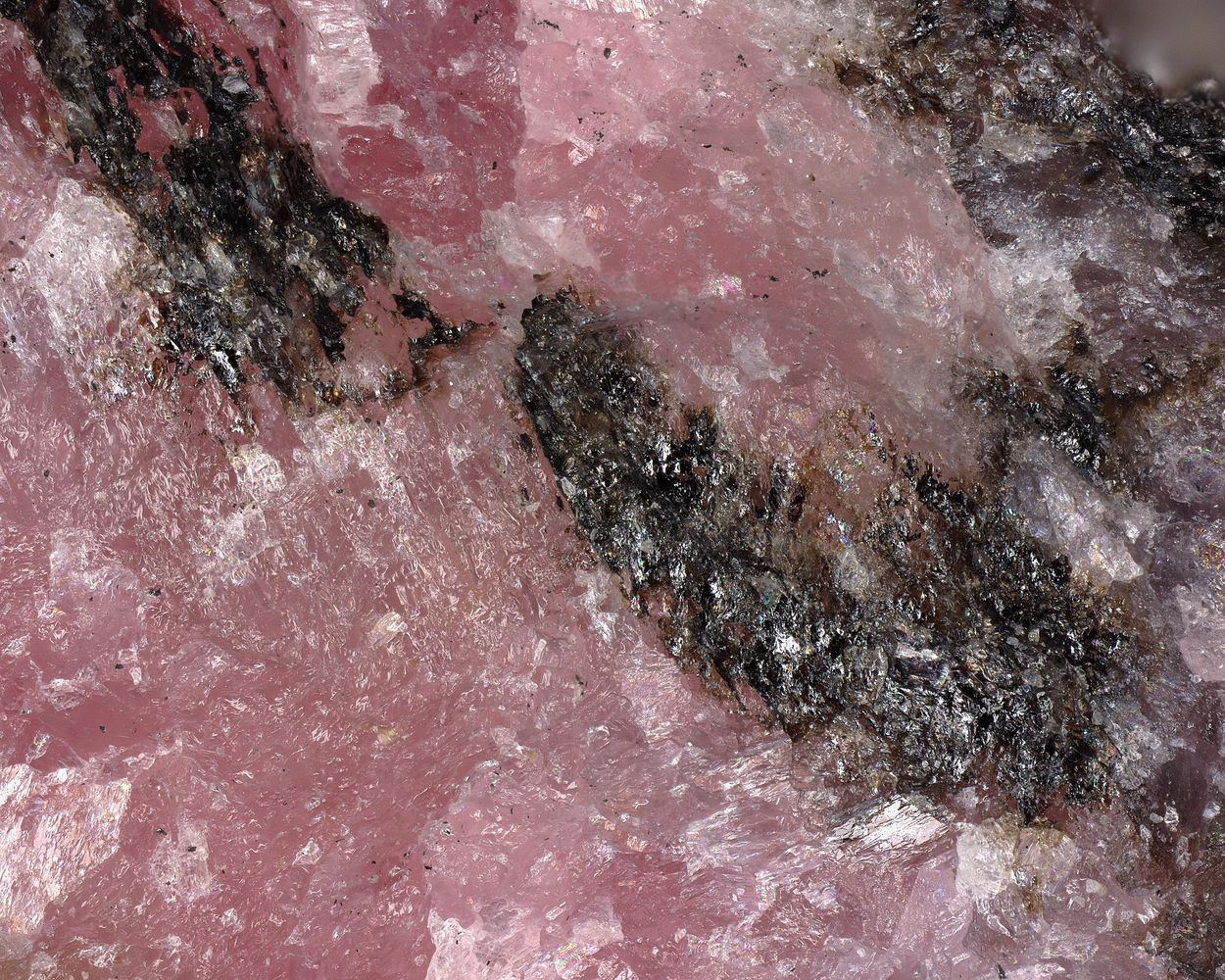 Khristovite-(Ce)