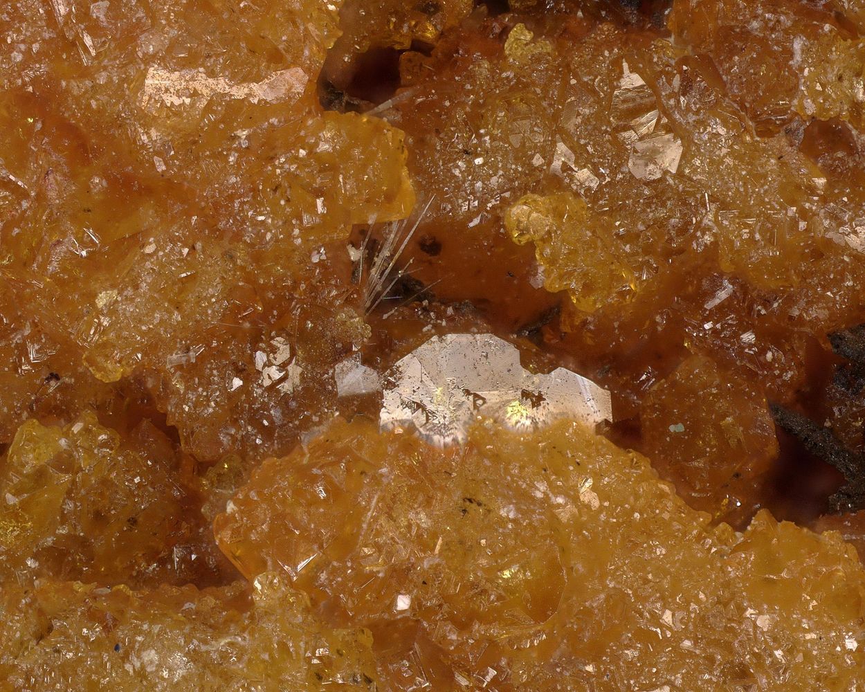 Oxycalciomicrolite